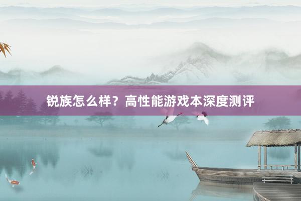 锐族怎么样？高性能游戏本深度测评