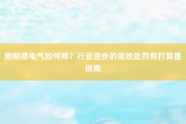 施耐德电气如何样？行业进步的能效处罚有打算提供商