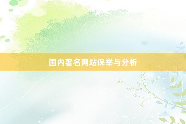国内著名网站保举与分析